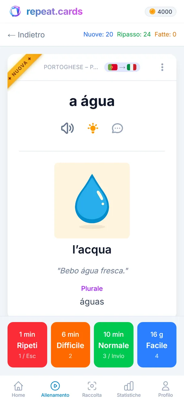 repeat.cards su un telefono: una carta durante il ripasso con immagine, frase di esempio e plurale, sopra i quattro pulsanti di valutazione e i rispettivi prossimi intervalli