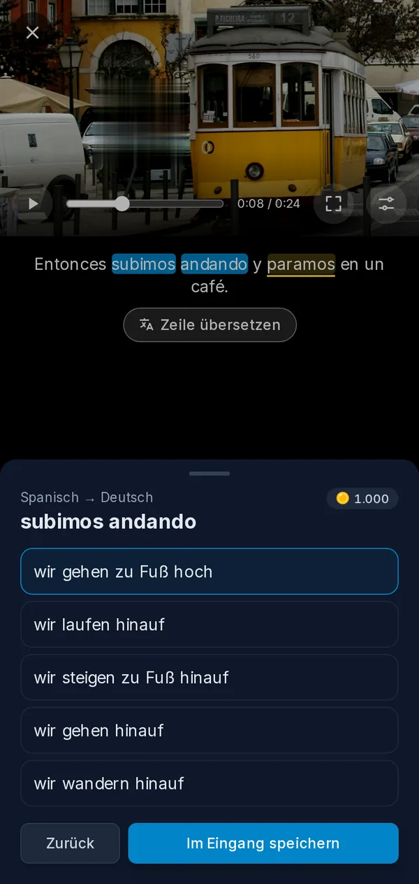 Der Player auf einem Smartphone: ein pausiertes Video mit einer Wendung aus den Untertiteln und ihren Übersetzungen