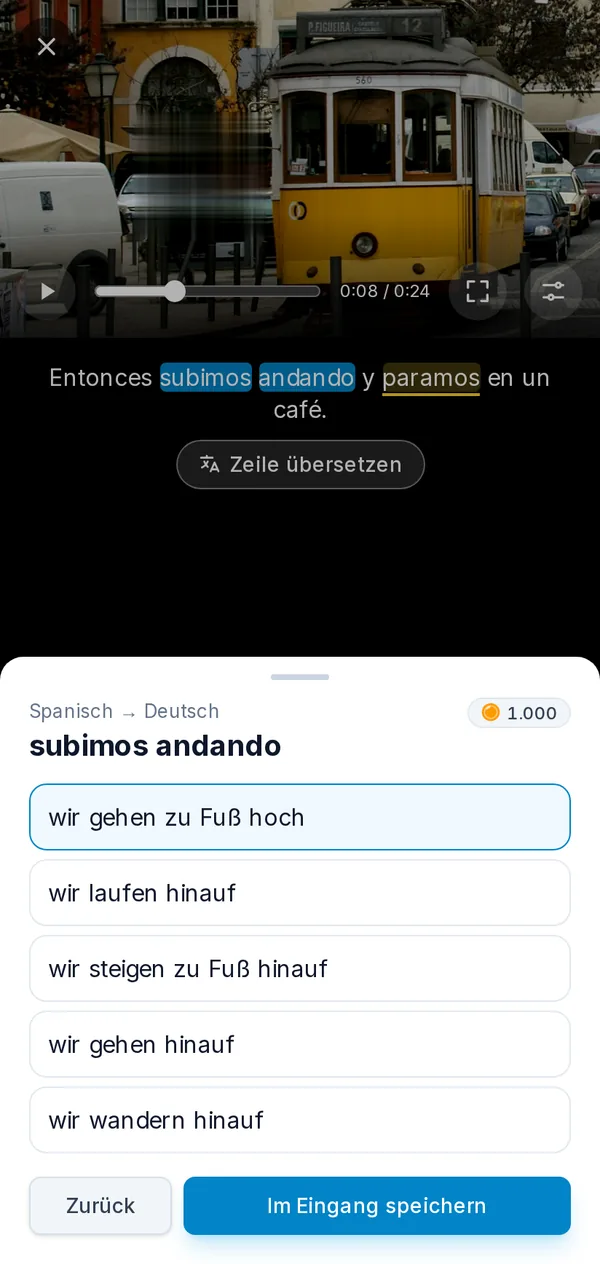 Der Player auf einem Smartphone: ein pausiertes Video mit einer Wendung aus den Untertiteln und ihren Übersetzungen