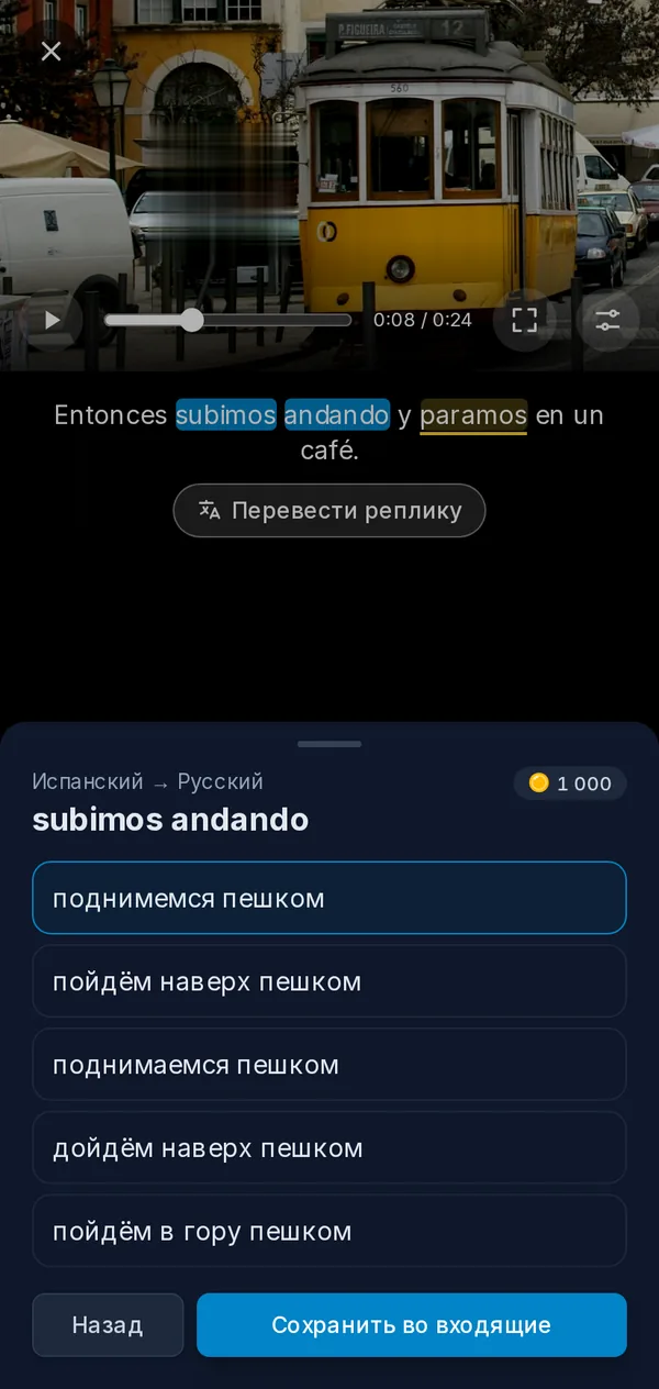 Плеер на телефоне: видео на паузе, в субтитрах выбрана фраза, открыты её переводы