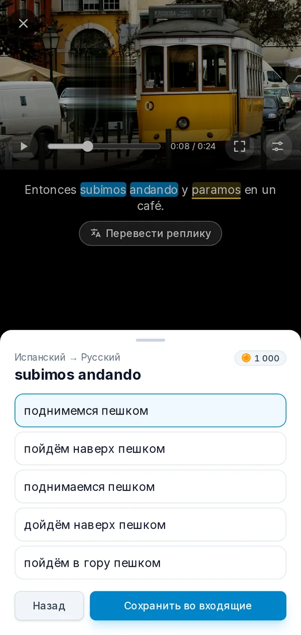 Плеер на телефоне: видео на паузе, в субтитрах выбрана фраза, открыты её переводы